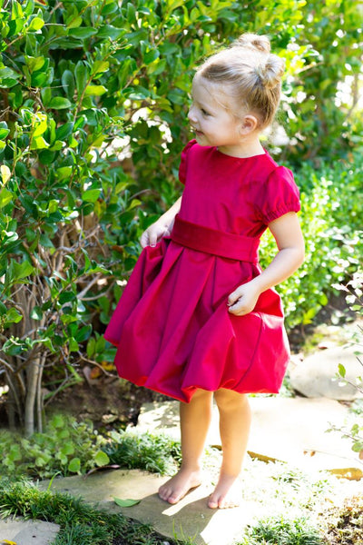 elizabeth and james red dress Mini dress